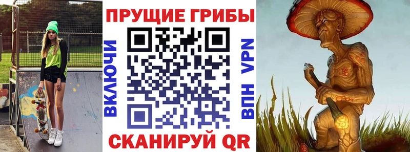 OMG ссылки  Бобров  Псилоцибиновые грибы прущие грибы  что такое  