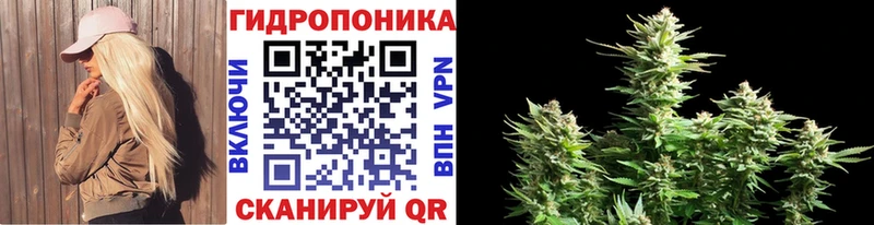 Бошки Шишки Bruce Banner  дарнет шоп  Бобров 